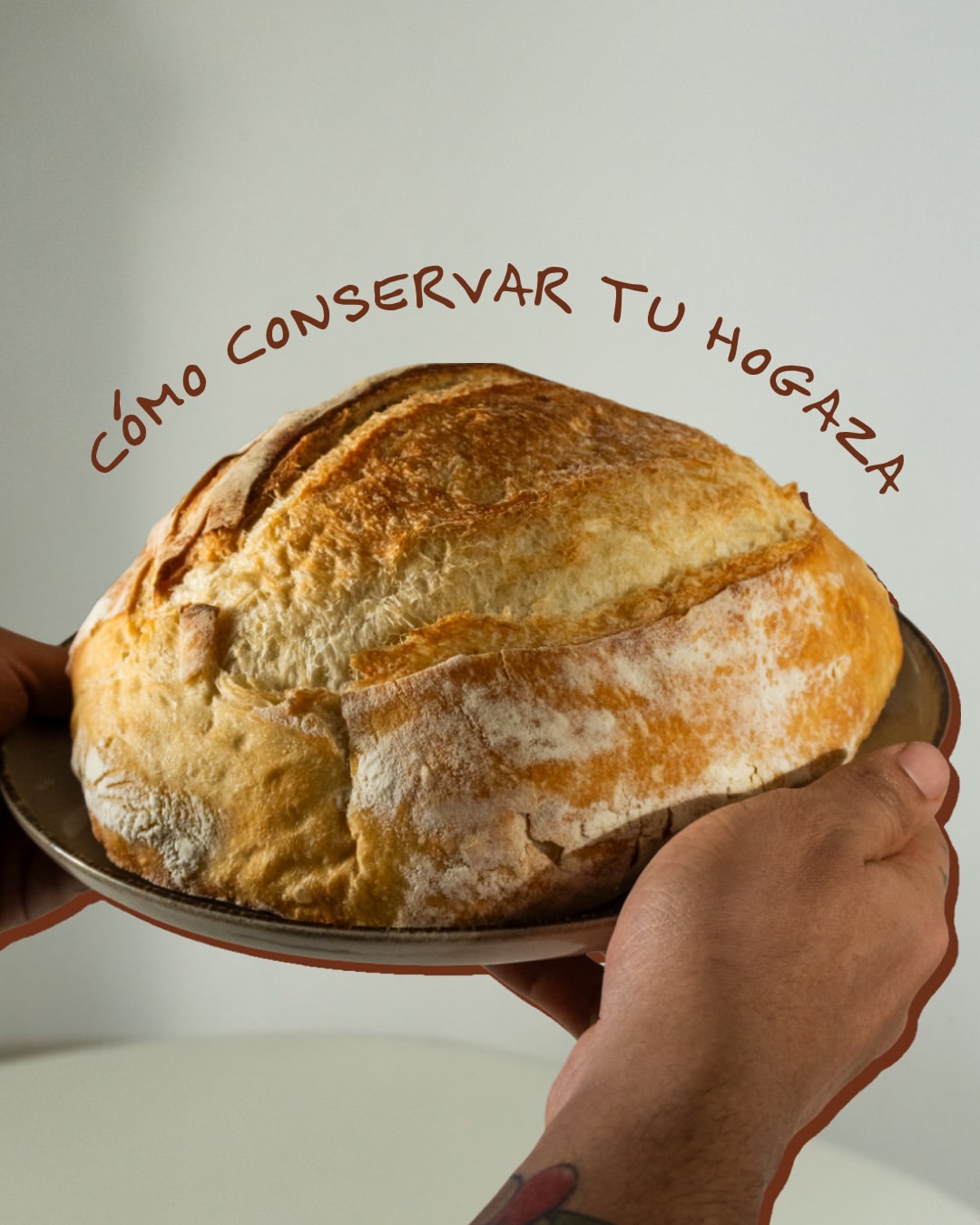 Croussa 