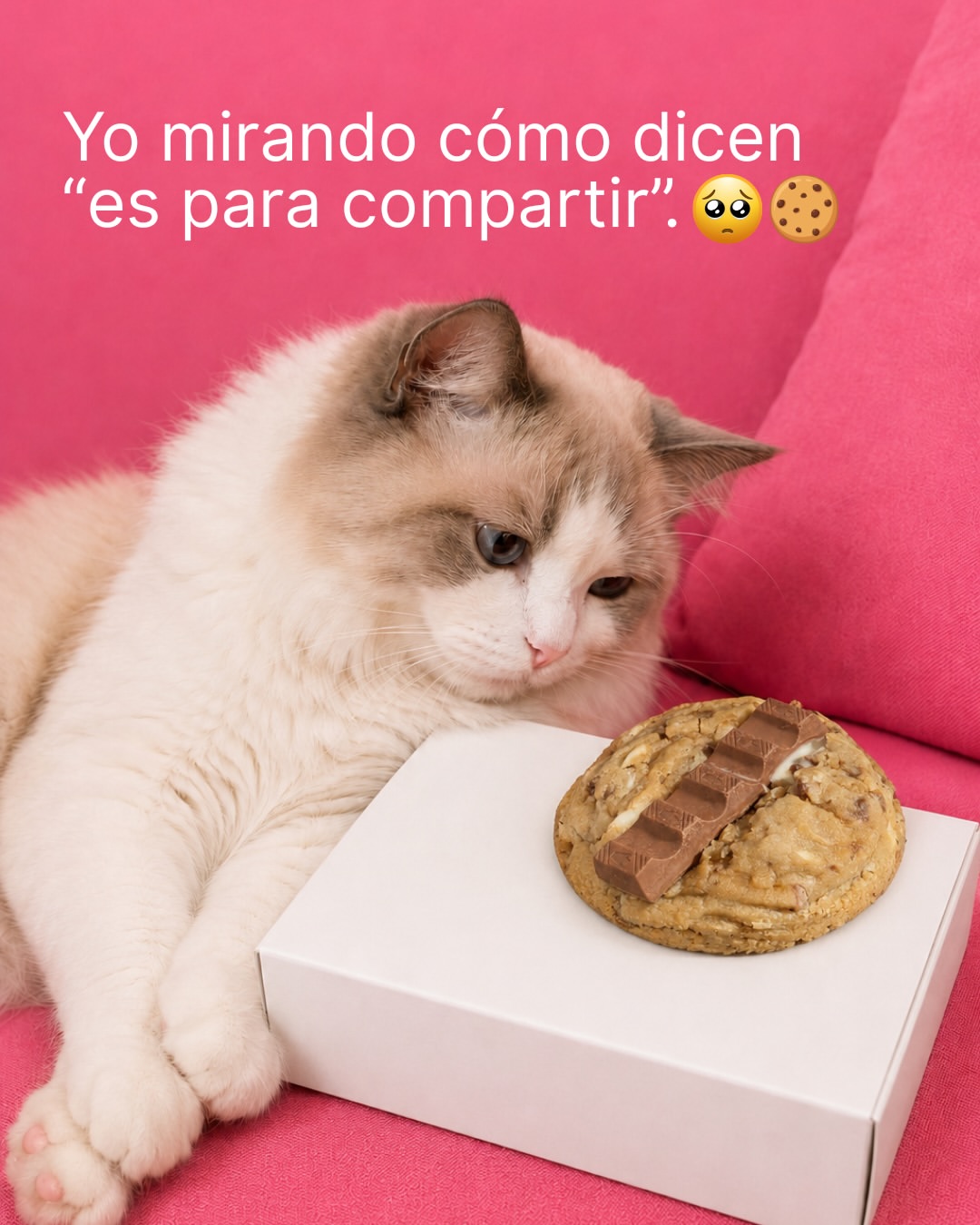 Cucharita | Helados & Cookies