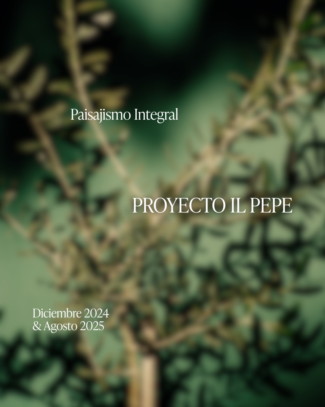Il Pepe