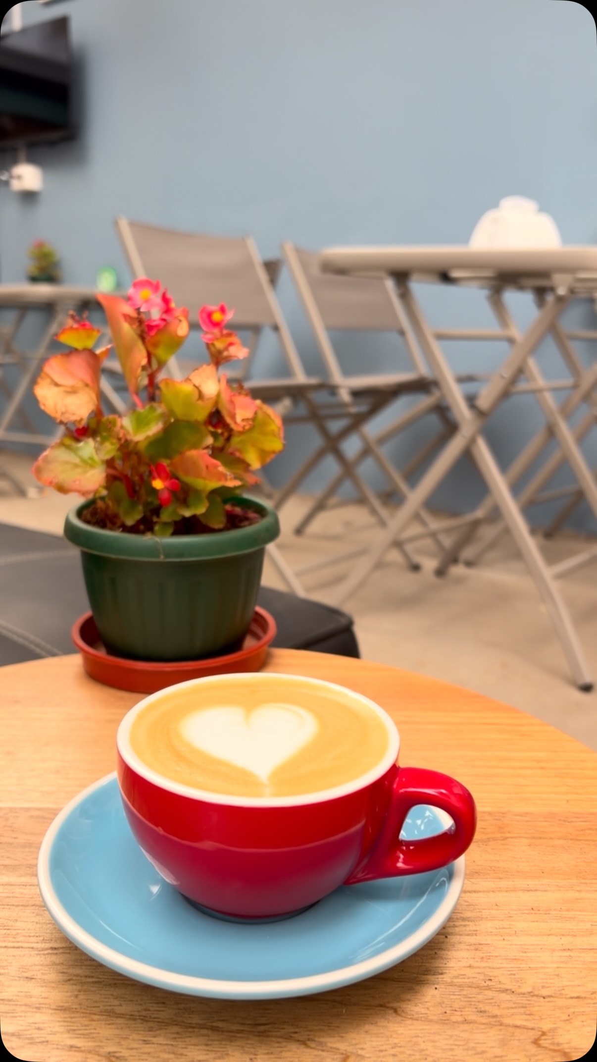 Café Rosas