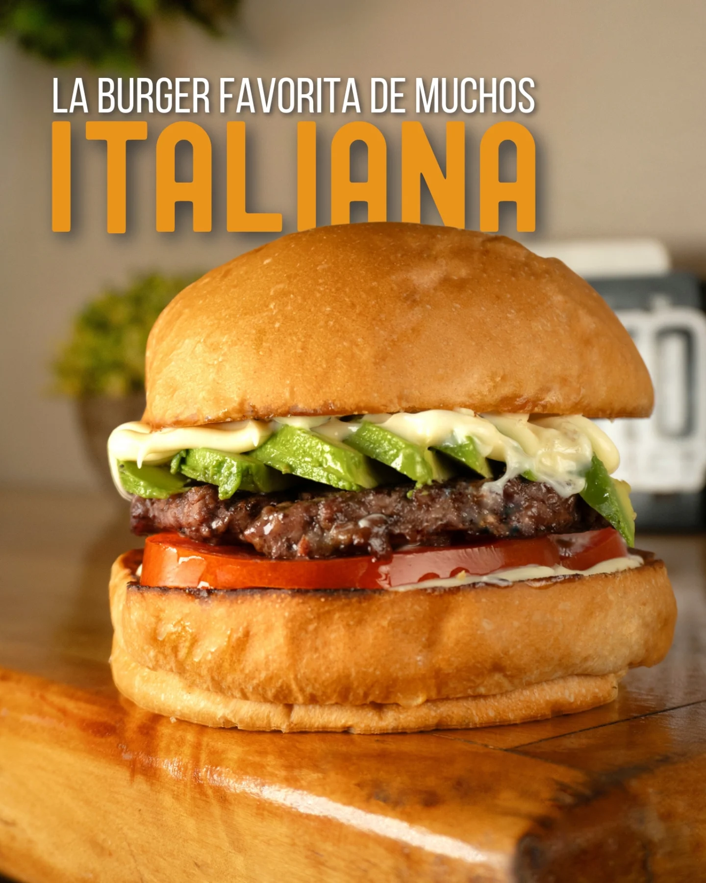 EL PATIO GOURMET