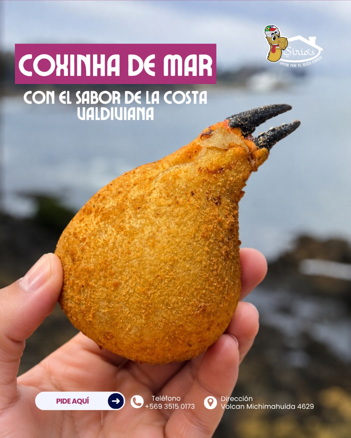 SIRIO´S COMIDA BRASILEÑA